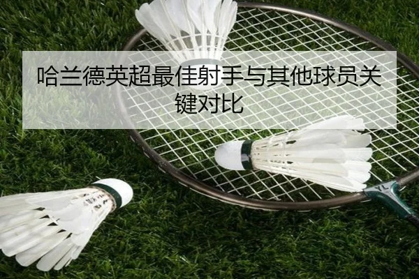 哈兰德英超最佳射手与其他球员关键对比
